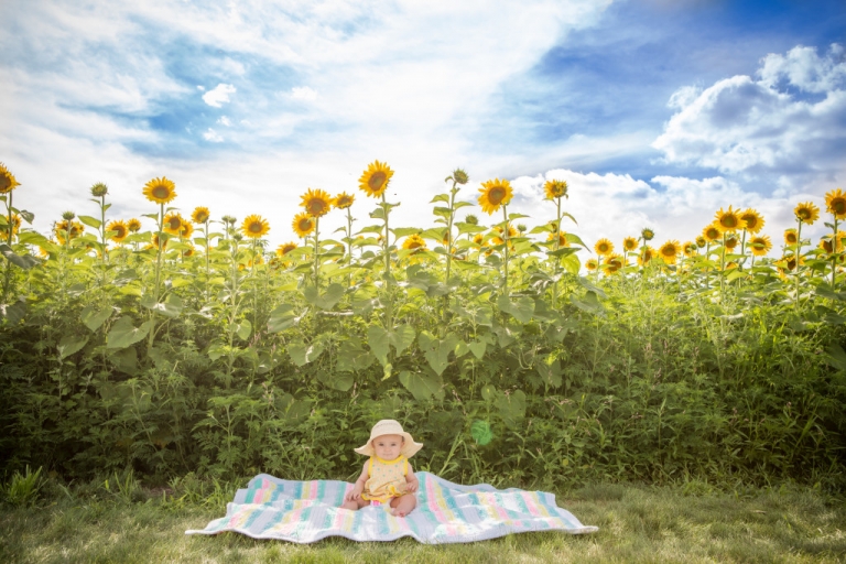 Sunflowers Aug 4 2015-23